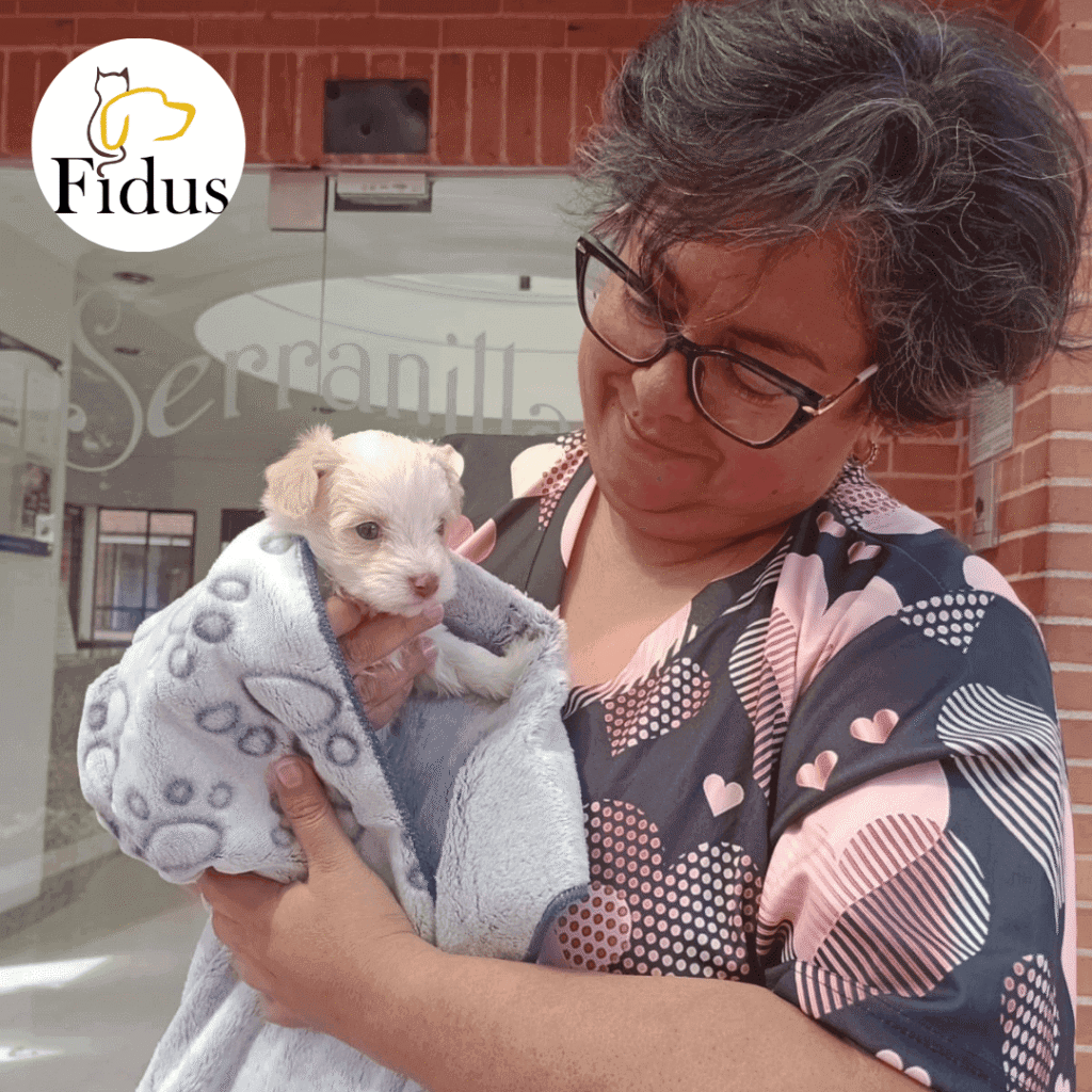 6 (1) (1) (1) (1) (1) (1) (1) (1) (1) (1) (1) (1) (1) (2)