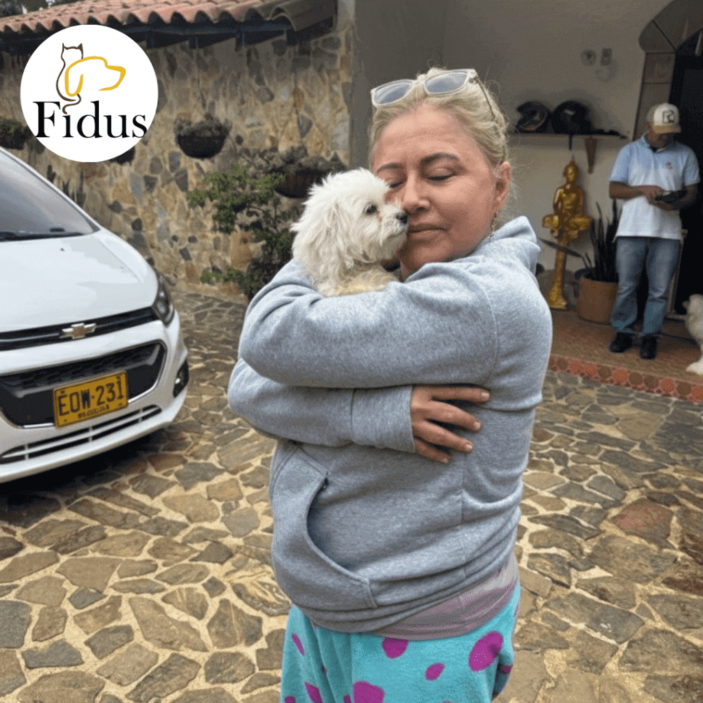 Entregas Fidus bichón maltés